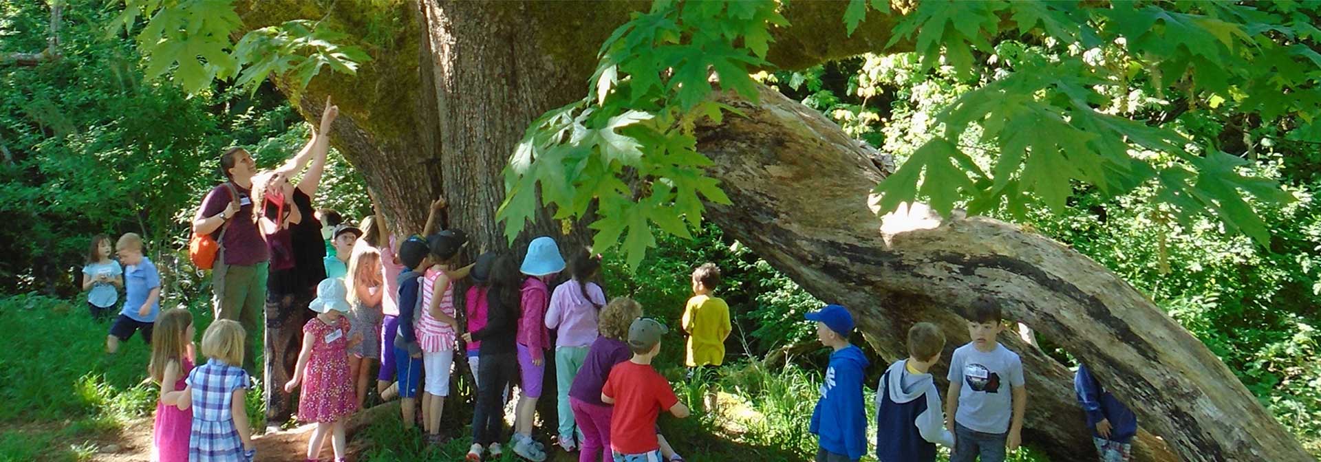 Being in nature is good for learning