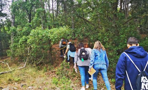 Walking and feeling in nature